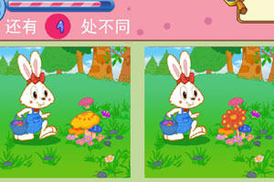 比尔·阿克曼：并未出售所持房地美、房利美公司的股份，仍是两家公司的最大普通股股东