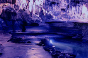 视频|牛市仍亏50%，还收巨额管理费！浦银安盛“权益一哥”蒋佳良在基民的骂声中卸任